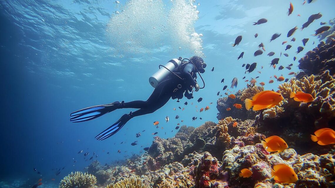 Comment planifier un voyage parfait pour la plongée sous-marine